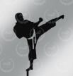 Toper KARATEKA